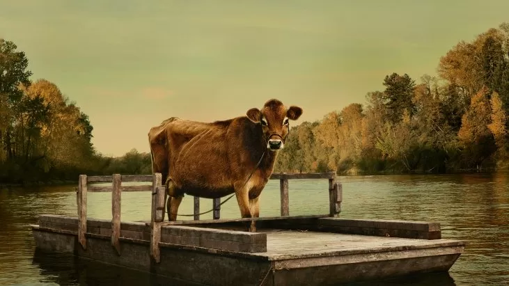 First Cow izle